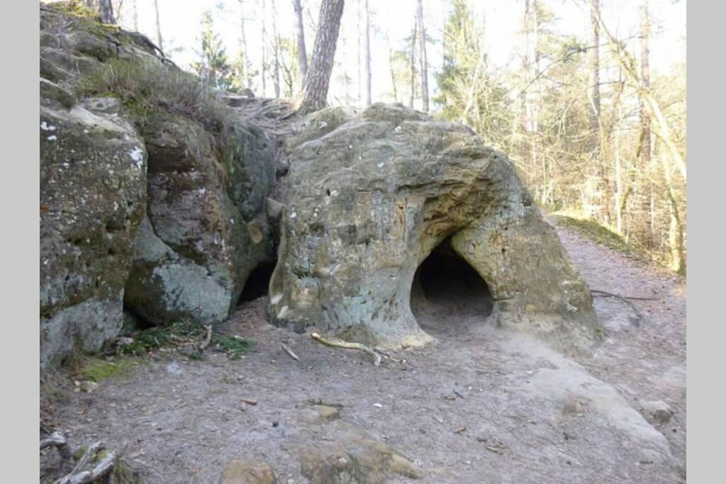 Le repaire des hérissons Vallée de Rabais Virton Exterior foto