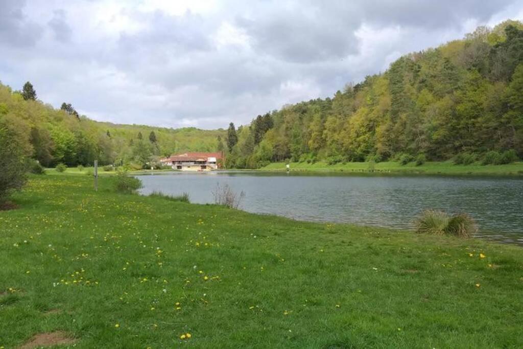 Le repaire des hérissons Vallée de Rabais Virton Exterior foto